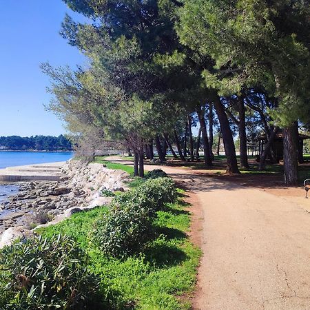 Apartments Novigrad Novigrad  Bagian luar foto