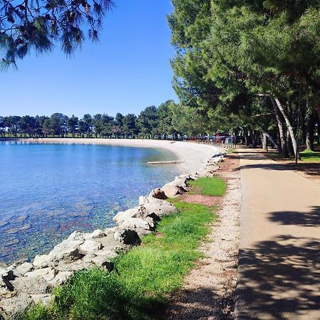 Apartments Novigrad Novigrad  Bagian luar foto