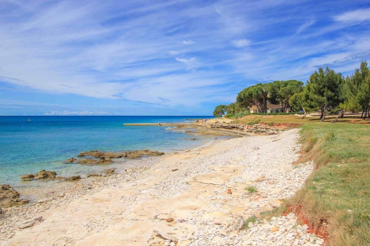 Apartments Novigrad Novigrad  Bagian luar foto