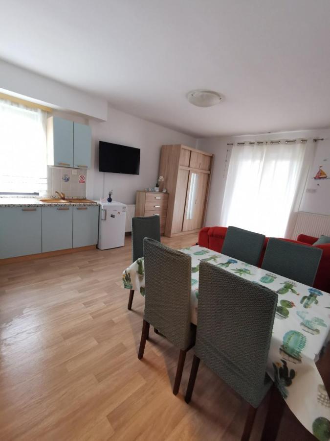 Apartments Novigrad Novigrad  Bagian luar foto
