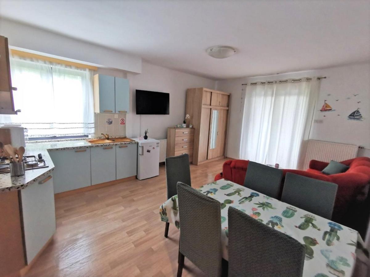 Apartments Novigrad Novigrad  Bagian luar foto