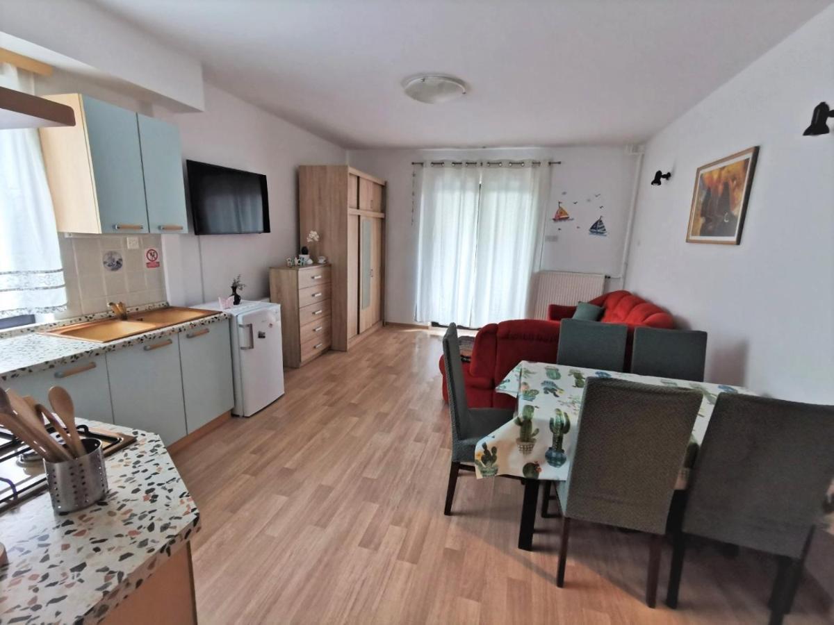 Apartments Novigrad Novigrad  Bagian luar foto