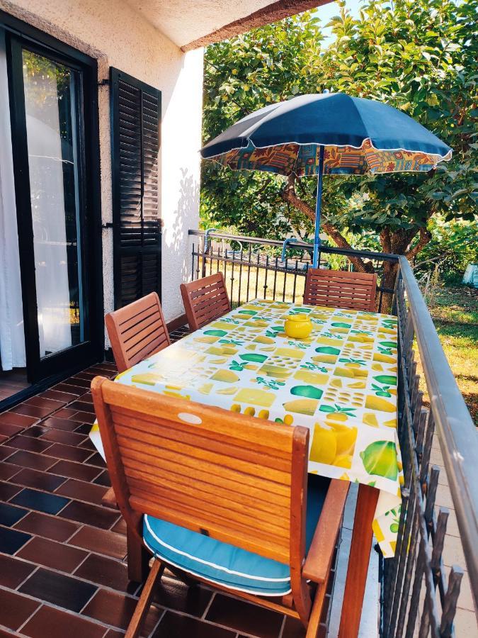 Apartments Novigrad Novigrad  Bagian luar foto