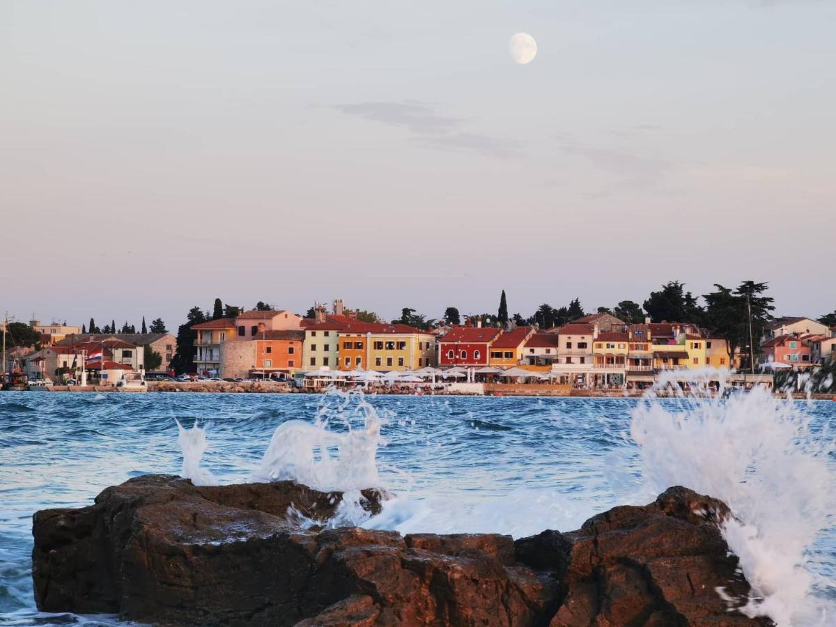 Apartments Novigrad Novigrad  Bagian luar foto