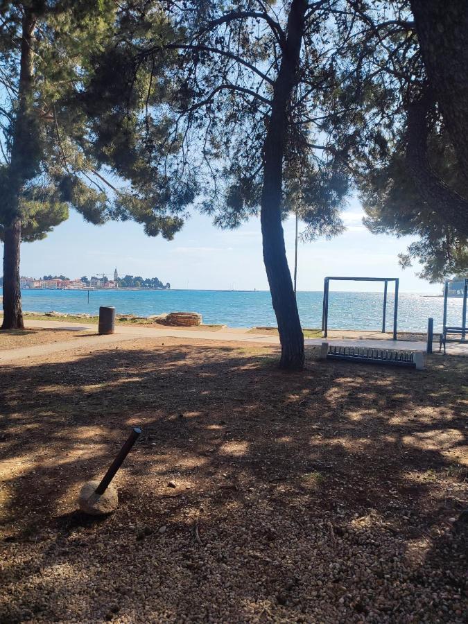 Apartments Novigrad Novigrad  Bagian luar foto