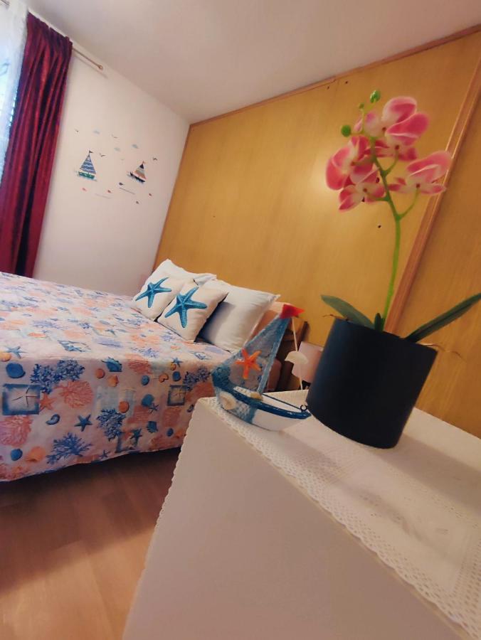 Apartments Novigrad Novigrad  Bagian luar foto