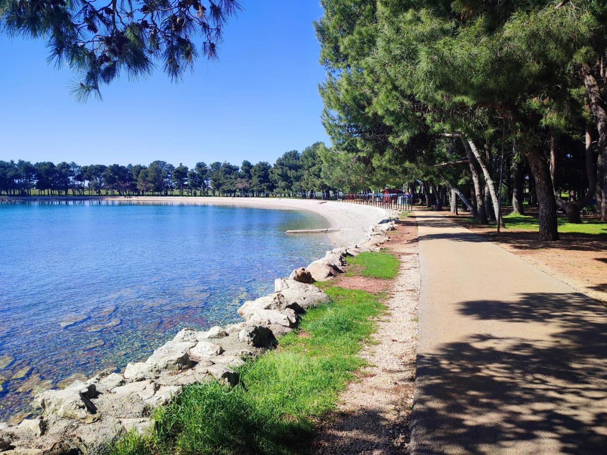 Apartments Novigrad Novigrad  Bagian luar foto